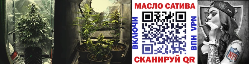 Дистиллят ТГК Wax Кедровый
