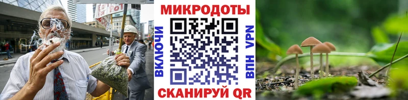Псилоцибиновые грибы ЛСД дарнет шоп Кедровый